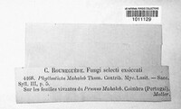 Image Associated With the Occurence